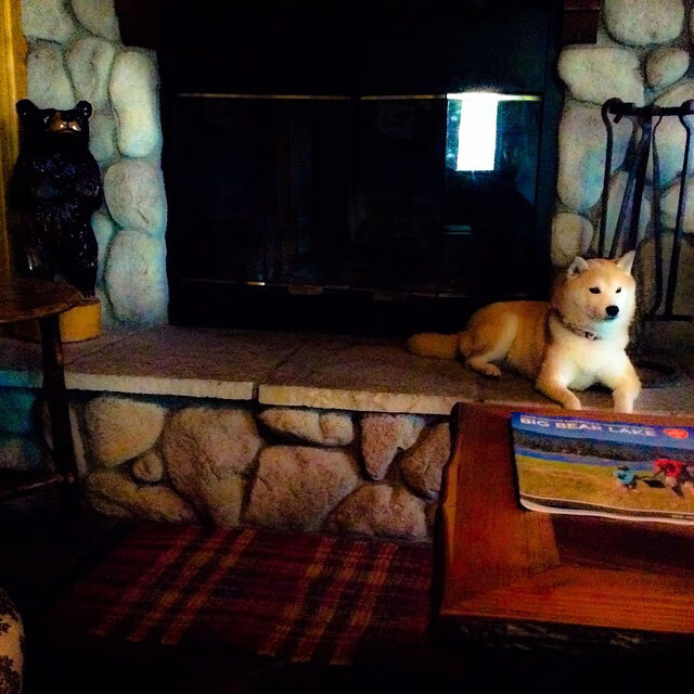 【传奇故事】奥沙利文：三十年赛场的精彩瞬间，奥沙利文集锦