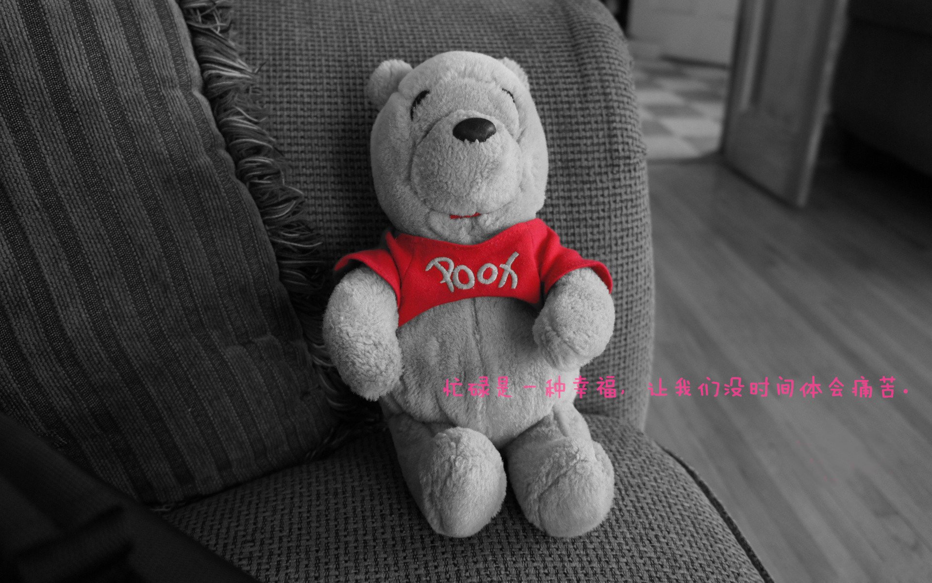 乡村广场舞运动会,传递健康与快乐,广场舞报幕词大全乡村