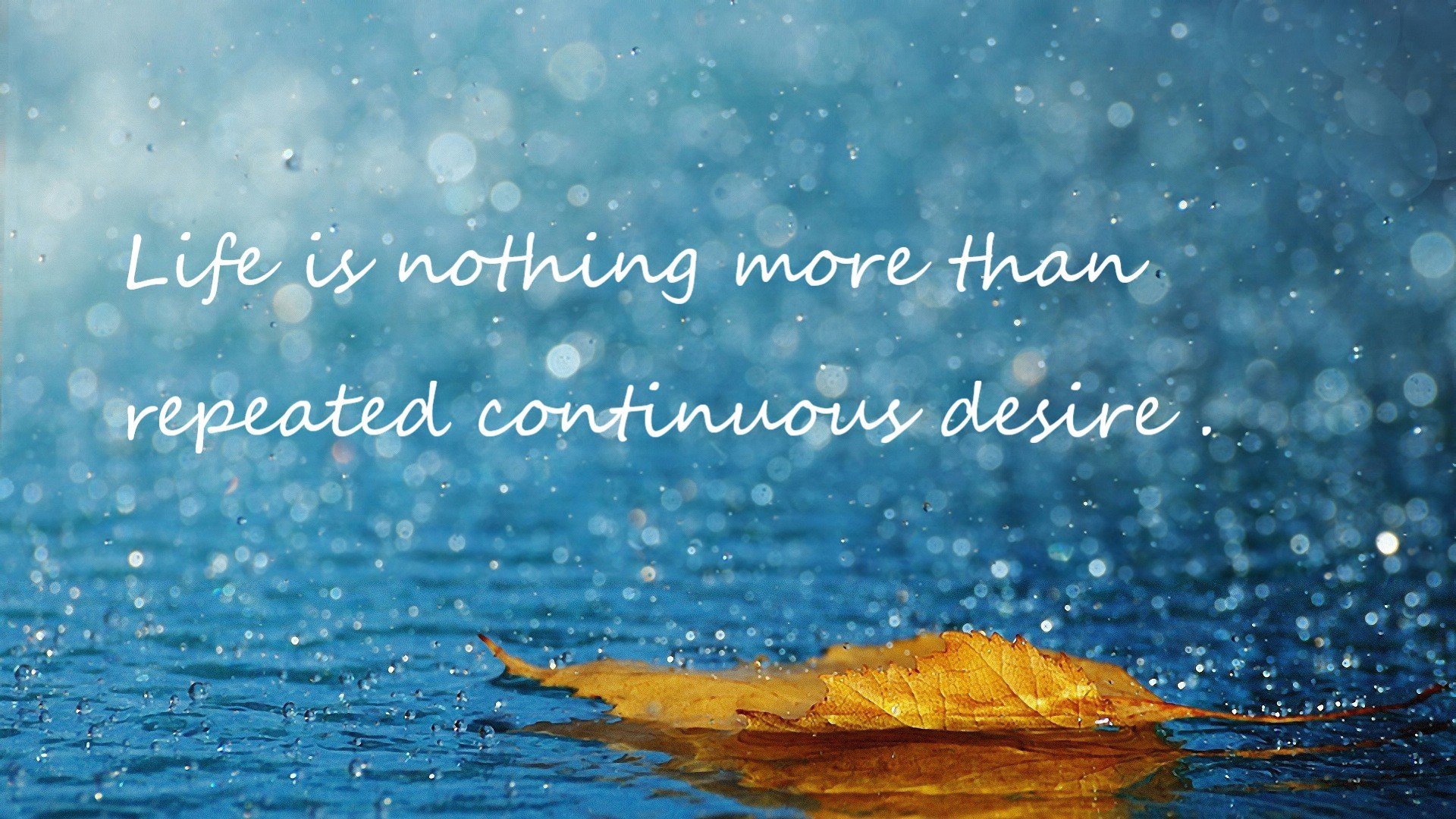 九游(jiuyou)官方网站-乡村特色围棋骑马比赛，文化和运动的完美融合，围棋赛讲解