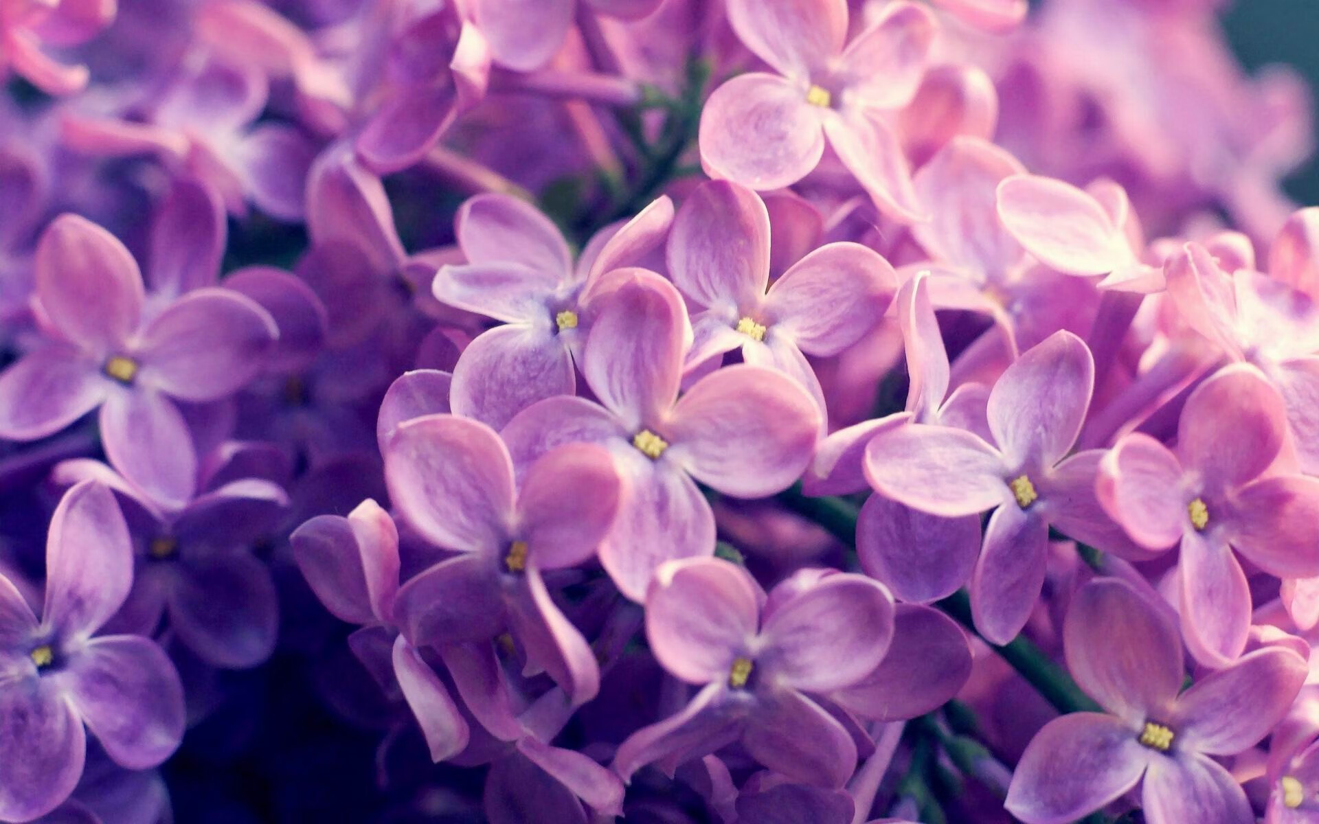 大师级“远射”连续11个比赛,刷新世界纪录!,足球远射大师