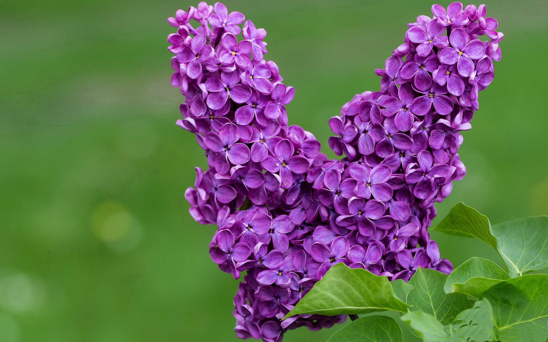 釣魚比赛：静谧中的运动艺术，钓鱼比赛有什么意义