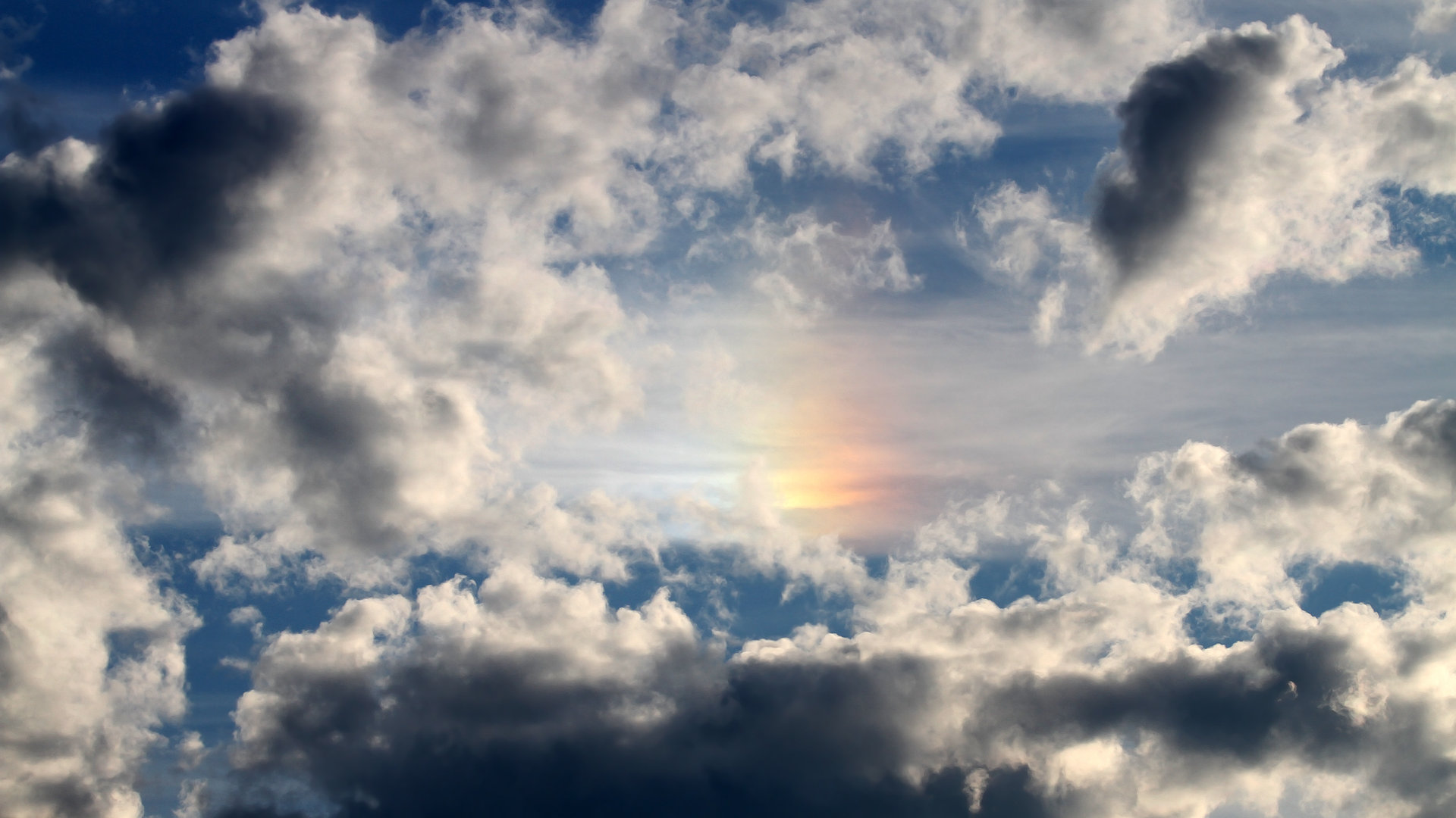 九游下载官网-多特蒙德惜败巴黎，在淘汰赛中遗憾止步！，多特蒙德vs巴黎圣日耳曼直播