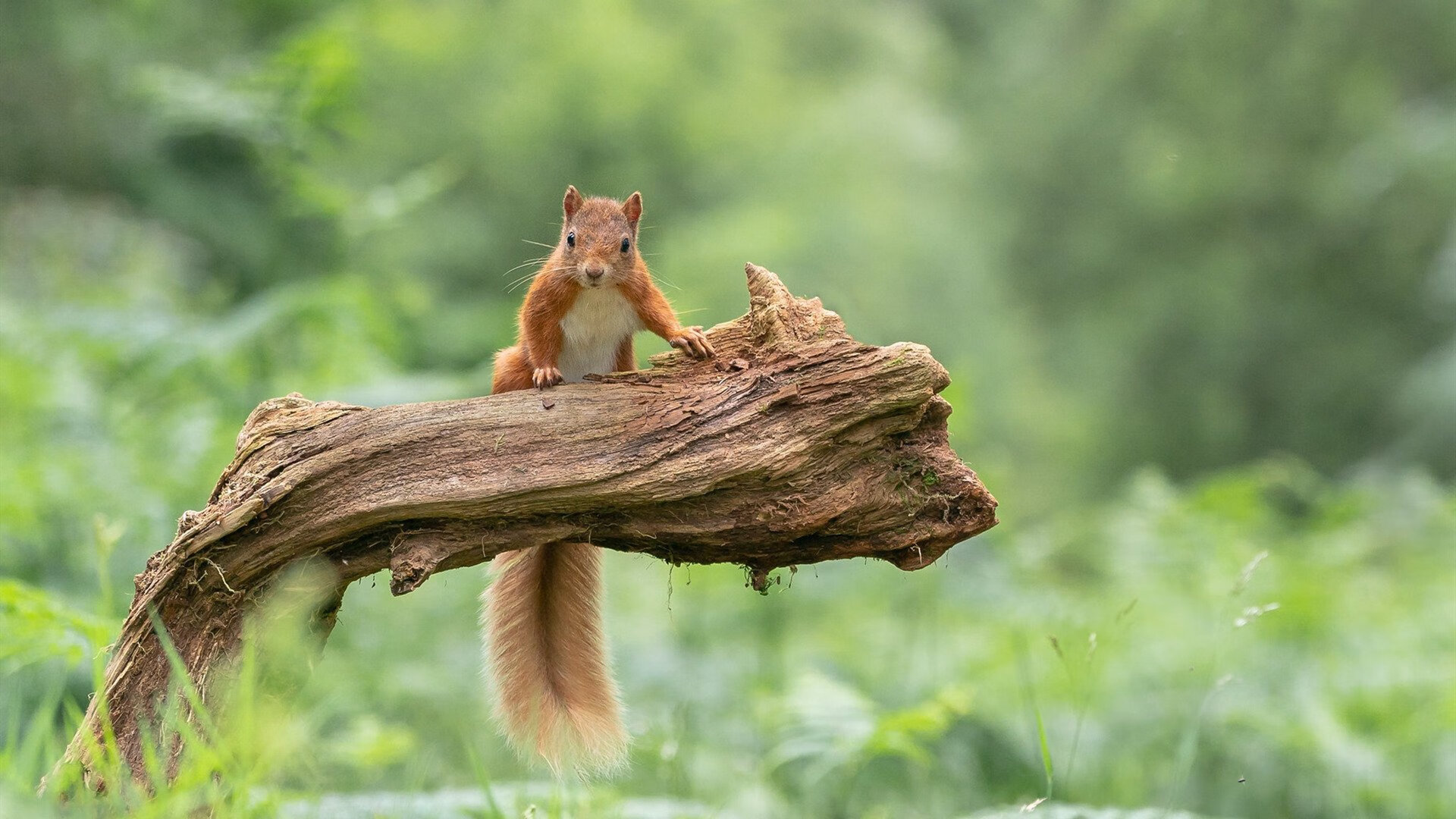 九游下载官网-深圳佳兆业在客场力克贵州恒丰智诚，佳兆业集团贵州分公司