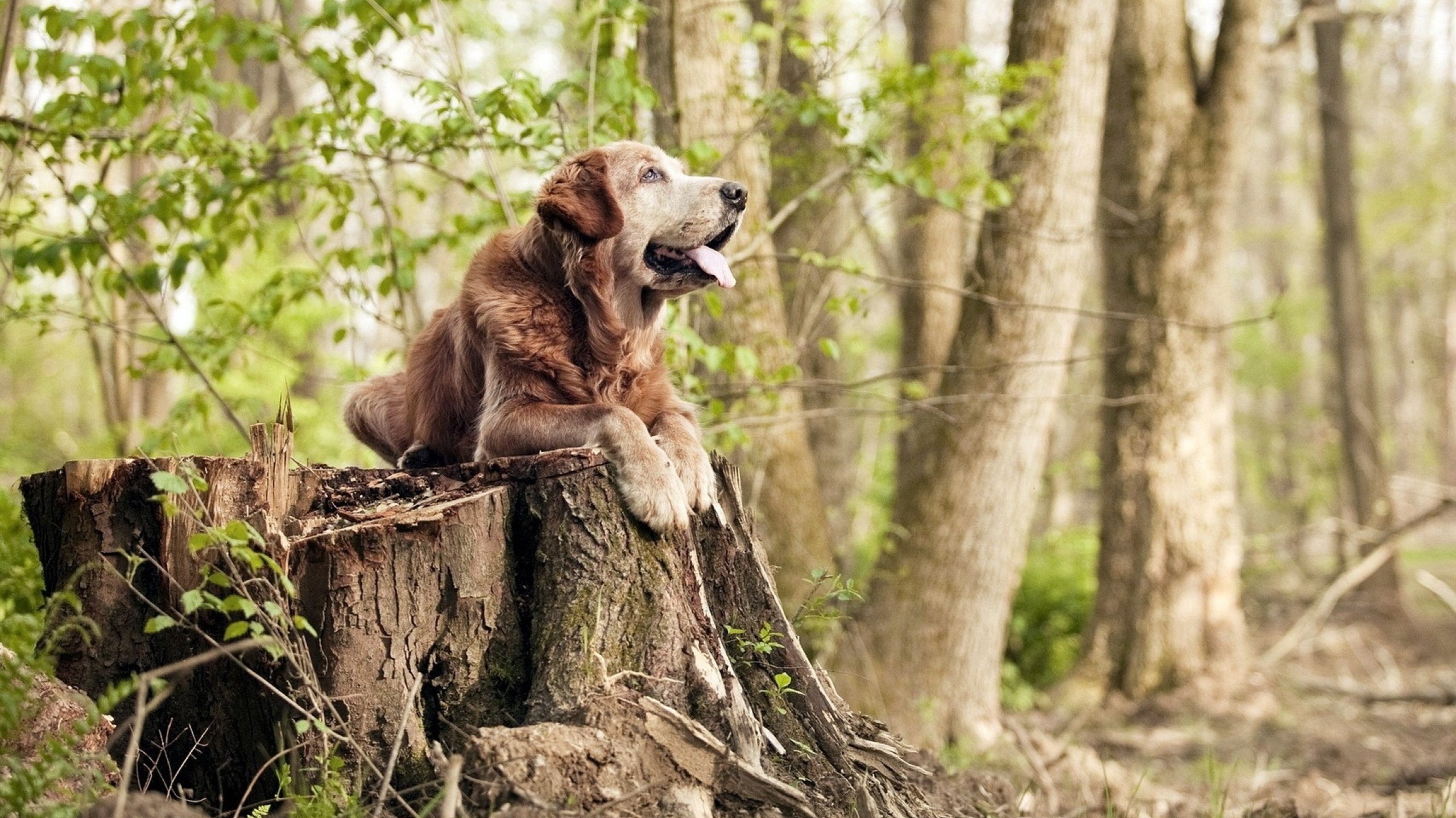 国际热身赛中国青年队爆冷 球迷热议教练战术,中国国家队 热身赛
