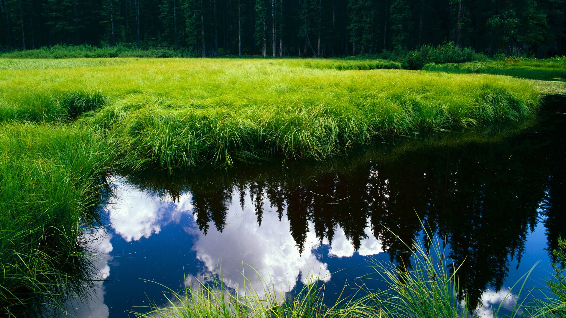 九游娱乐(jiuyou)官网-新加坡乒乓未来展望：如何强化体能训练提升比赛胜率，新加坡乒乓球队