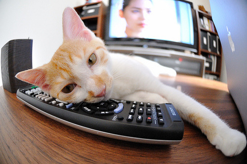 九游9游-篮球赛后数据报告进入电视解说系统，篮球赛数据如何分析