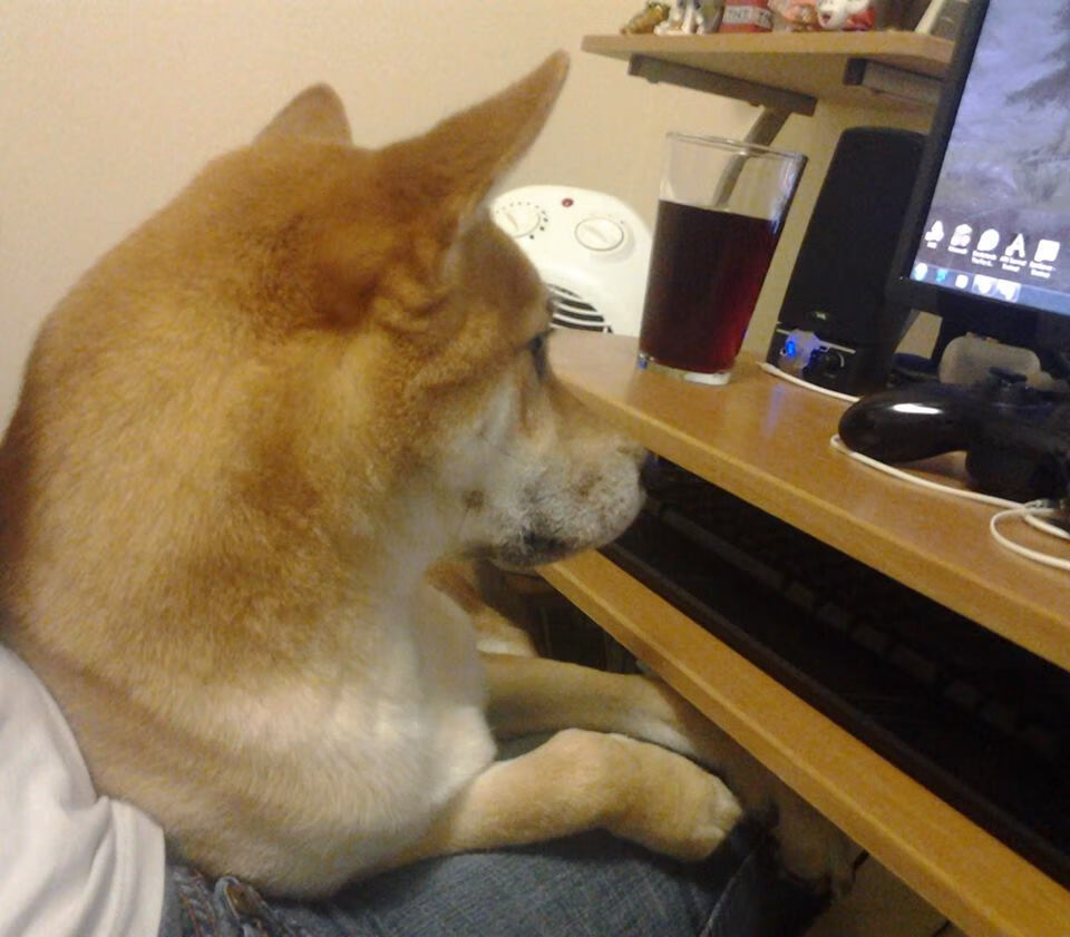 青训选拔试点智能体测平台提高测试准确性,青训试训内容